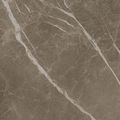 S.S. Grey Wax/С.С. Грей Вакс кер./гранит ретиф. 60*60, фото 1