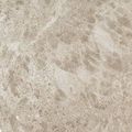 S.S. Pearl Wax / С.С. Перл Вакс кер./гранит ретиф. 45*45, фото 1