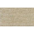 S.M. Woodstone Champagne Cachemire/Вудстоун Шампань Кашмир кер/гранит 31,5*57, фото 1