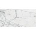 MARBLE TREND Carrara Белый матовый Керамогранит 30*60 K-1000/MR/300x600, фото 1