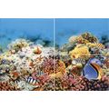 Панно 40х60 Alba Reef-2, фото 1