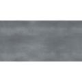 SHAPE GRAPHITE Облиц. плитка 249*500 WT9SHP25, фото 1