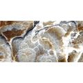 MONTI Marrone Polished 60x120, фото 1
