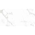 Керамогранит Neodom Splendida Venus Bianco Polished (60x120) (Индия), фото 1
