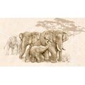 Safari Коричневый декор 40*23, фото 1