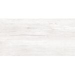 WOOD GRAY Облиц. плитка 249*500 WT9WOD15, фото 1