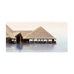 ДЕЛЬ МАРЕ Декор 24,9*50 ВС9ДМ024, фото 1