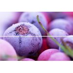 BEVELED TILE Frozen berries Панно стеклянное 20*30 (из 2-х плиток) TD-BT-P-FB, фото 1