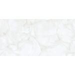 Керамогранит Brais White Glossy 60x120, фото 1