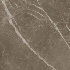 S.S. Grey Wax/С.С. Грей Вакс кер./гранит ретиф. 60*60, фото 1