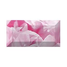 PEONY Бордюр рельефный 20*10 br1020D281-2, фото 1