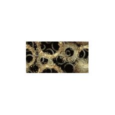 GOLDEN Декор 24,9*50 DWU09GLD228, фото 1
