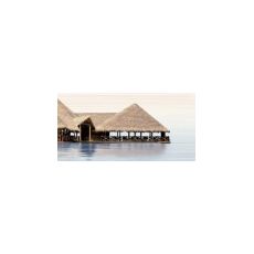 ДЕЛЬ МАРЕ Декор 24,9*50 ВС9ДМ024, фото 1