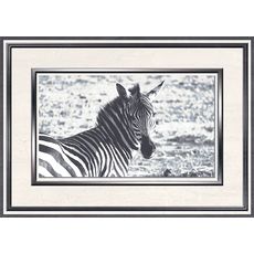 ТАНЗАНИЯ Декор D 25*35, фото 1