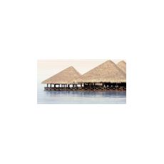 ДЕЛЬ МАРЕ Декор 24,9*50 ВС9ДМ004, фото 1