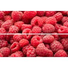 BEVELED TILE Raspberry Панно стеклянное 20*30 (из 2-х плиток) TD-BT-P-RB, фото 1