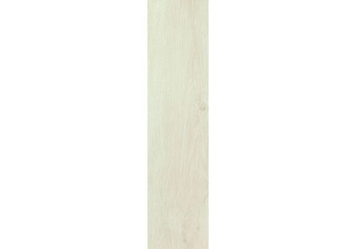 FRAME MAGNOLIA/Магнолия ретифиц. кер/гранит 22,5*90, фото 1