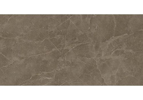 S.S. Grey Wax/С.С. Грей Вакс кер./гранит ретиф. 60*120, фото 1