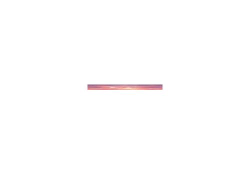 FLAMINGO Pink Flamingo Бордюр 50*4, фото 1