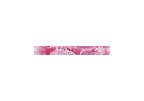 PEONY Бордюр 40*4,5 B400D281, фото 1