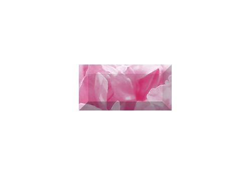 PEONY Бордюр рельефный 20*10 br1020D281-1, фото 1