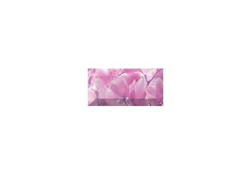MAGNOLIA Бордюр рельефный 20*10 br1020D297-2, фото 1