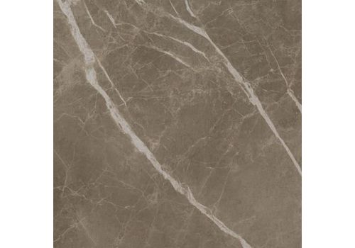 S.S. Grey Wax / С.С. Грей  Вакс кер./гранит ретиф. 45*45, фото 1
