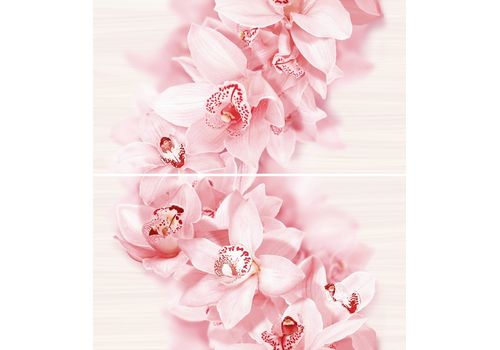 Роз. Декор-панно Aroma 45x50 (комп.2 шт.) 1605-0002, фото 1