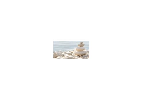 ДЕЛЬ МАРЕ Декор 24,9*50 ВС9ДМ644, фото 1
