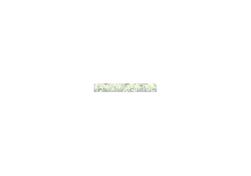 ПРИМАВЕРА Бордюр 6,7*50 БД53ПА806 / BWU53PRM806, фото 1