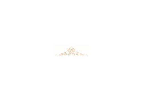 ALANNA Декор 20*60 DWU11ALN004, фото 1