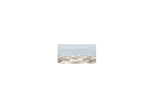 ДЕЛЬ МАРЕ Декор 24,9*50 ВС9ДМ604, фото 1