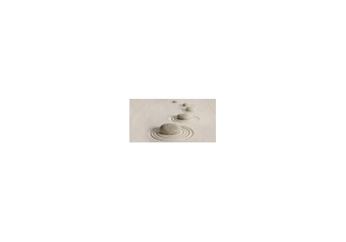 РЕЛАКС Декор 24,9*50 ВС9РЛ004, фото 1