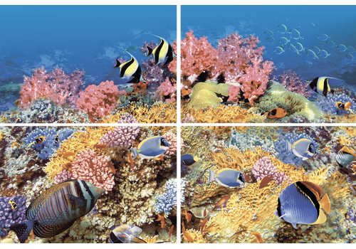 Панно 40х60 Alba Reef-1, фото 1