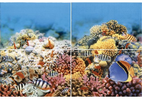 Панно 40х60 Alba Reef-2, фото 1