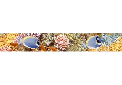 Бордюр 4.5х30 Alba Reef, фото 1