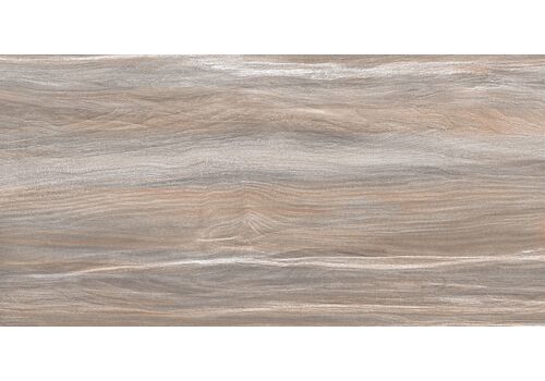 Esprit Wood Облиц. плитка 250*500, фото 1