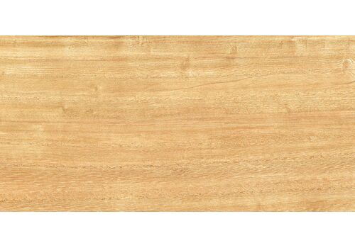 Triangle Wood Облиц. плитка  249*500, фото 1
