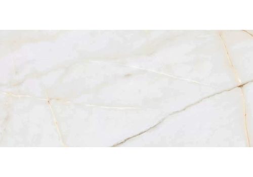 Керамогранит Essenza PW R 60x120, фото 1